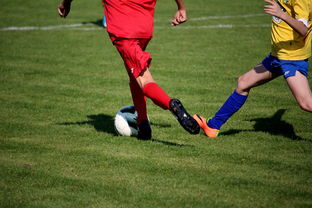 乐鱼体育官网优惠-世界台球联赛中国队勇夺团体亚军，世界台球联赛中国队勇夺团体亚军是谁